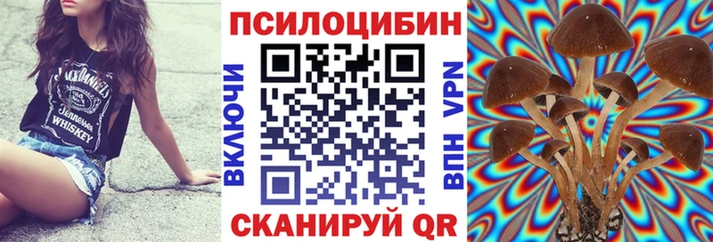 Псилоцибиновые грибы прущие грибы  продажа наркотиков  МЕГА как войти  Поворино 